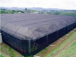 Tela para sombreamento tec.roma 50 por cento x 1,50m