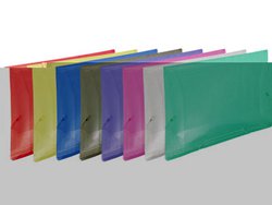 Pasta pvc com elastico dac oficio fume 501
