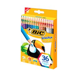 Lapis de cor bic evolution sextavado com 36 cores