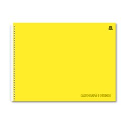 Caderno animativa cartografia esp flex horizontal am 60fls c/5 - 10366