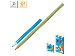 Lapis de cor cis colorcis longo com 12 cores