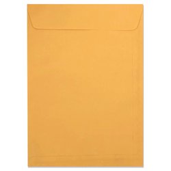 Envelope kraft ouro reipel 229 x 324mm - com 250